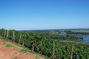 9.9.2006: Vereinsausflug nach Nierstein/ Rheinhessen