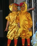 27.1.2008: Damen- und Herrnsitzung der 1. Griesheimer Carneval Gesellschaft