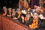 6./7.2.2010: Damen- und Herrensitzung sowie Ball der 1. Griesheimer Carneval Gesellschaft